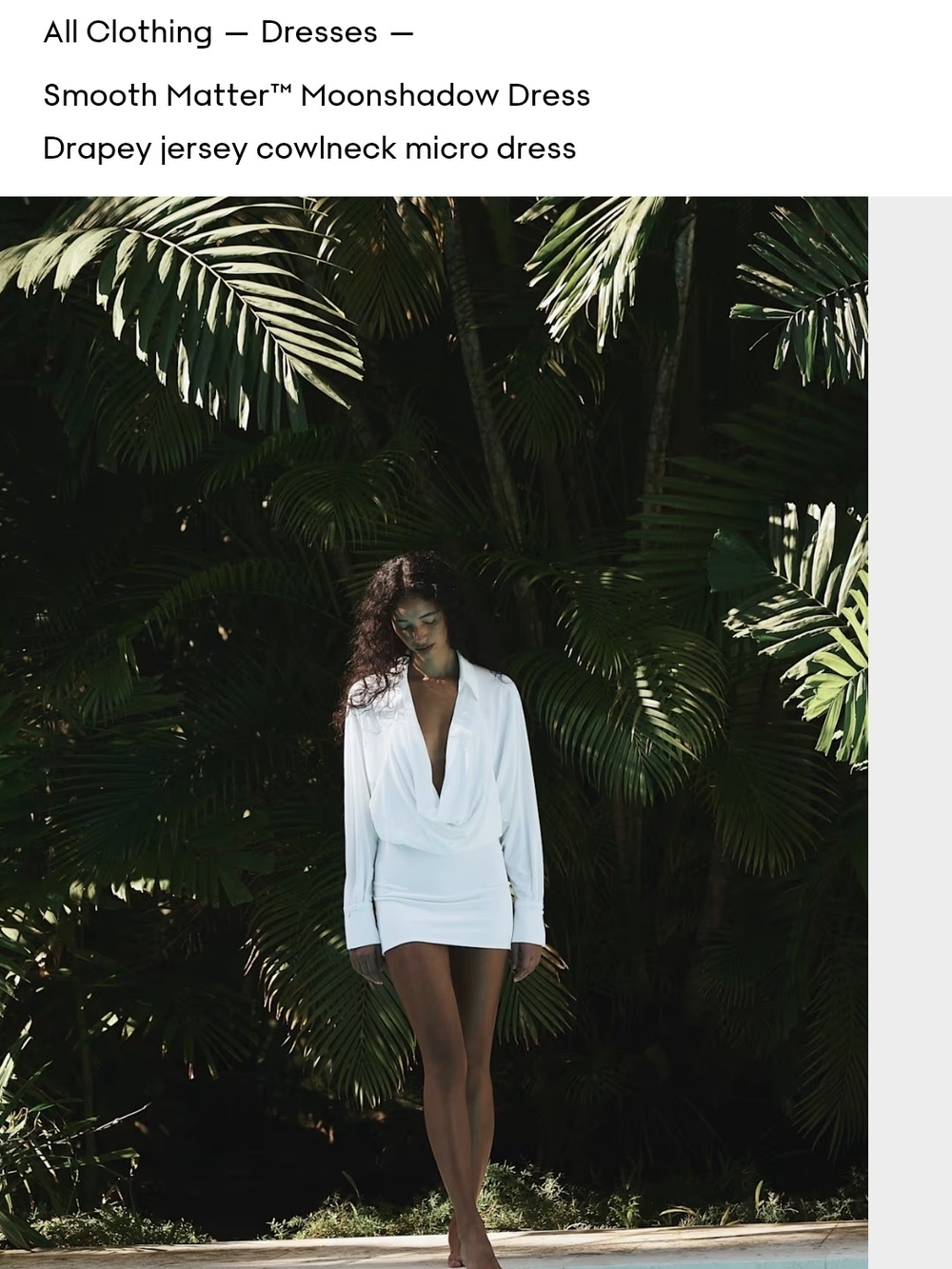 Aritzia MOONSHADOW Dress